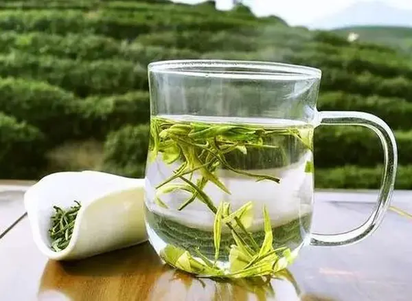 613. Green Tea